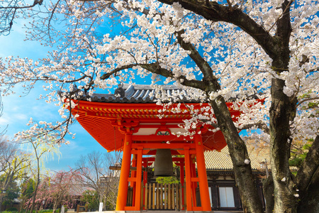 春天的日本寺庙