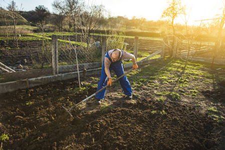 农夫在花园里干活, 在一个阳光明媚的日子里, 用耙平犁耕地。