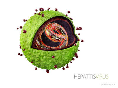 肝炎病毒。肝炎病毒的结构。3d 插图