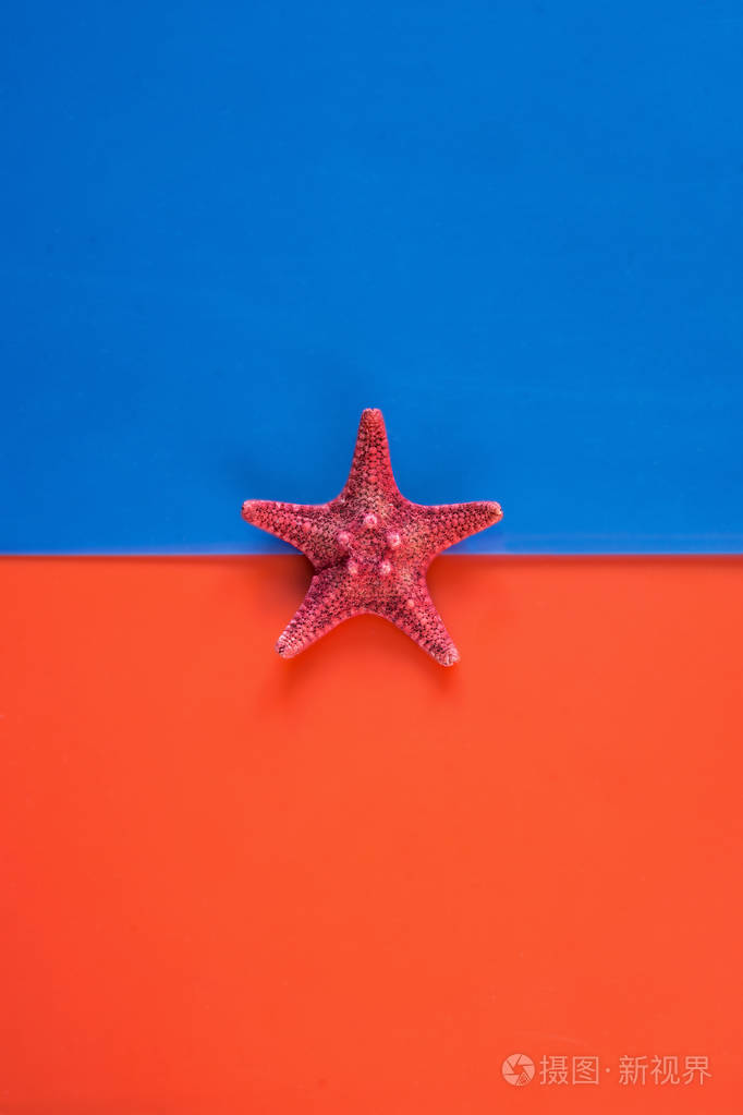 双色调背景与海星