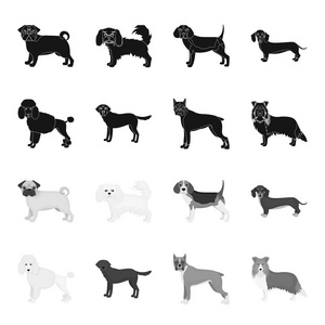 狗品种黑色, 单色图标在集合为设计。狗宠物矢量符号股票 web 插图