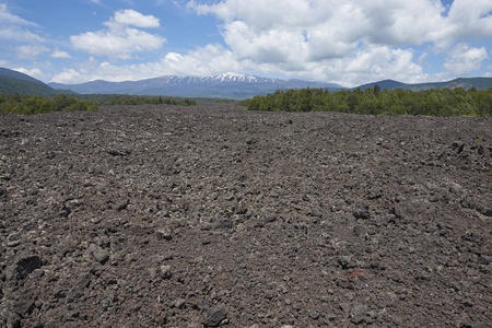 在智利南部 Araucania 地区 Conguillio 国家公园的熔岩场和森林上空上升的火山亚伊马火山 3125 米