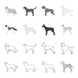 圣伯纳德, 猎犬, 猎犬, 拉布拉多。狗品种集合图标的轮廓, 单色风格矢量符号股票插画网站
