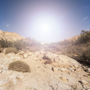 在以色列内盖夫沙漠日出时的岩石山丘。令人叹为观止的景观的在以色列沙漠南部的沙漠岩层