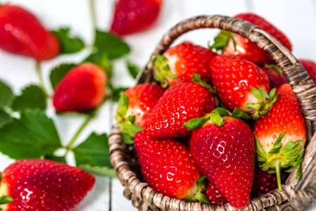 农场新鲜草莓, 有机红水果在市场上