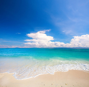 海滩和热带海景