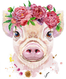 猪水彩图片