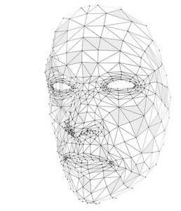 由线条多边形和点组成的人脸照片