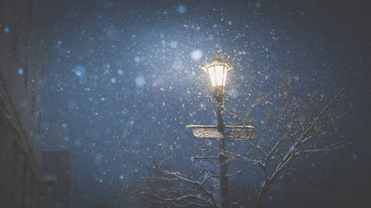 冬夜雪景图片