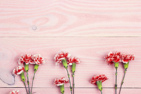康乃馨花在粉红色的木质背景与复制空间。自