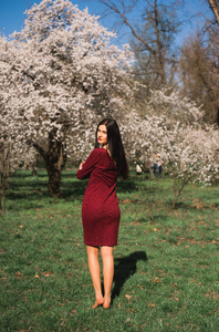 美丽的年轻黑发在公园里的长头发在春天在开花的树中间在红色礼服