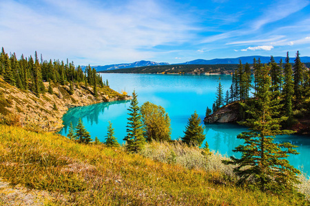在加拿大的印度夏天, 秋天温暖的阳光天。亚伯拉罕湖是落基山脉最美丽的湖泊。生态旅游的概念