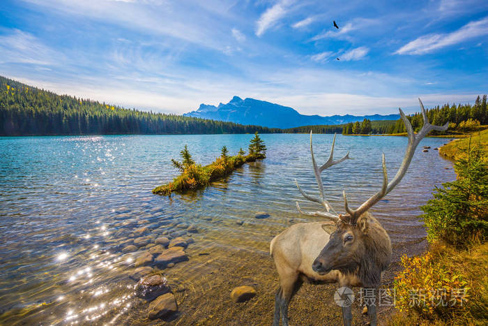 风景如画的湖泊, 有翡翠的水在落基山脉.生态与主动旅游的概念