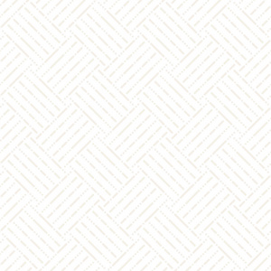 现代时尚的纹理与单色格子.重复几何网格.简单点阵图形设计照片