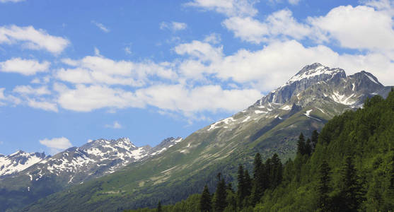 高加索山脉夏季。Dombai 山风景