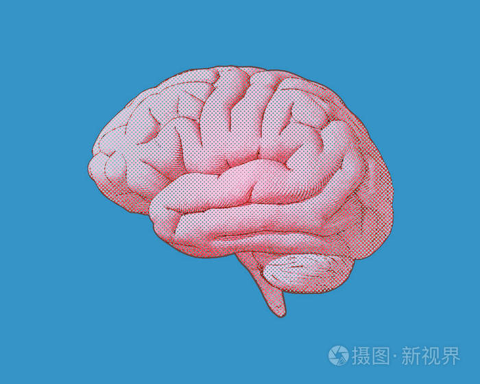 蓝色bg 上刻有粉红色的大脑插画-正版商用图片0uhtwi-摄图新视界