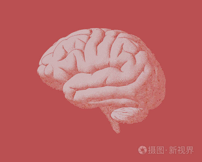 在红棕色 bg 上刻有粉红色的大脑