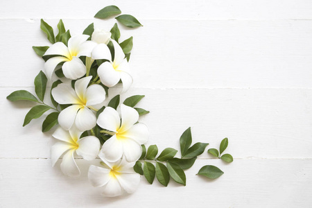 白色花朵花的香味和背景白色的叶子排列