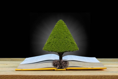 智慧与知识智慧教育与知识观念, 树在书本上成长照片