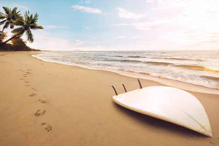 热带海滩冲浪板在夏天日出。海滨海景夏日沙滩, 蓝天背景