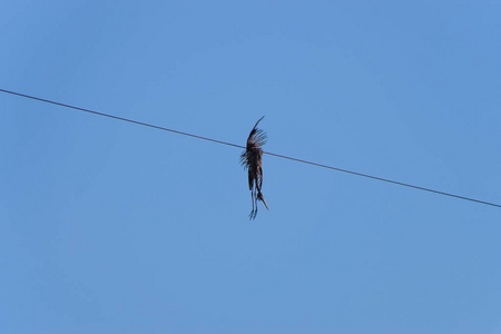 嗞电流触电声图片