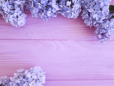 美丽的丁香花在粉红色的木质背景