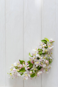 春天背景与苹果开花在白色木桌。顶部视图