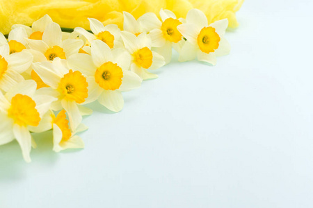 花与黄色纺织品装饰在蓝色粉彩背景与拷贝空间的水仙花春天花朵