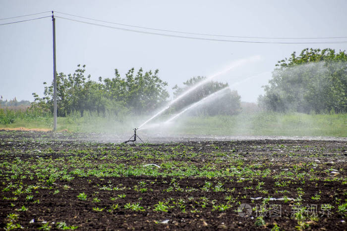 浇地.自动喷水灭火