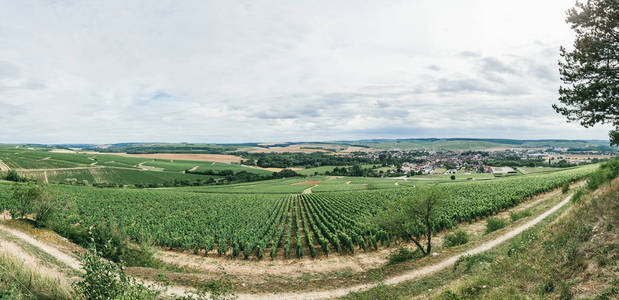 法国酿酒全景