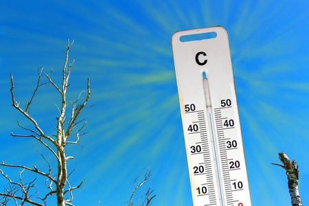 炎热干燥的夏天.气候变化.温度计和干燥的景观.变暖的概念照片