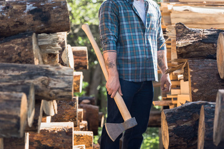 在锯木厂原木上刻有纹身的手拿斧头的格子衫中的伐木工人形象