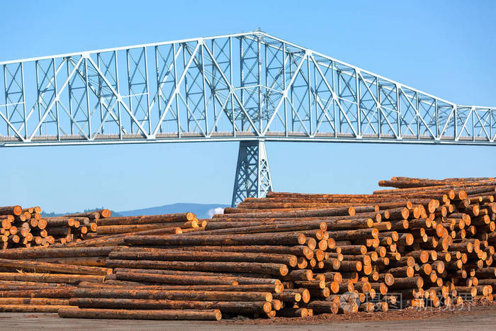哥伦比亚河大桥俄勒冈的木材厂