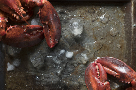 熟龙虾食品摄影食谱创意图片