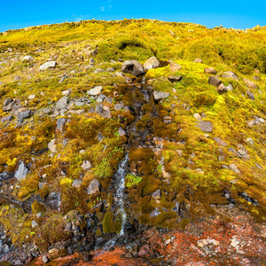 缤纷美丽的冰岛小瀑布, 冰岛, 夏季时间