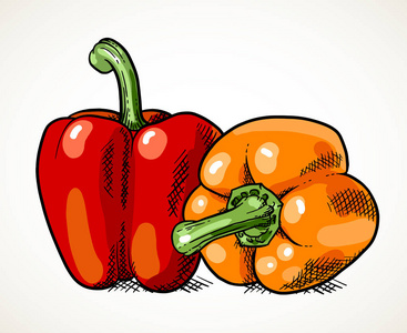 两只新鲜的甜椒被白色隔开。蔬菜设计元素为农场市场, 素食食谱。矢量插图