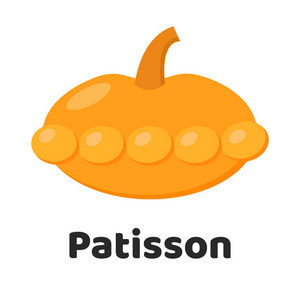 矢量插图。蔬菜。白色背景上的 Patisson