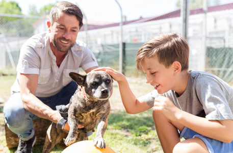 爸爸和他的儿子在动物收容所照顾被遗弃的狗