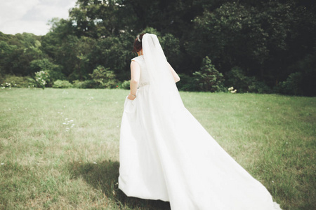 在优雅的白色连衣裙漂亮豪华新娘