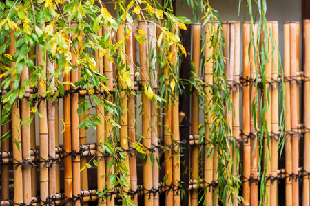 柳树栅栏图片-柳树栅栏素材-柳树栅栏插画-摄图新视界