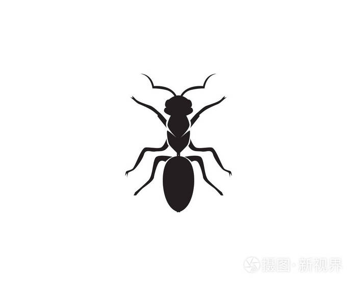 蚂蚁标志模板矢量图案
