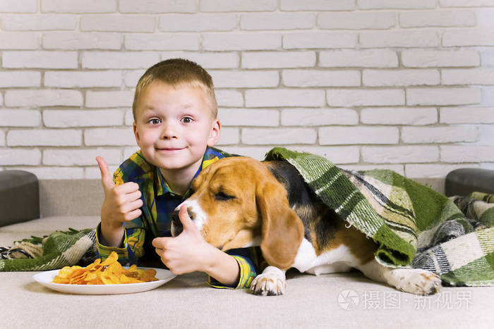 滑稽的男孩和狗猎犬吃薯条在沙发在房间里