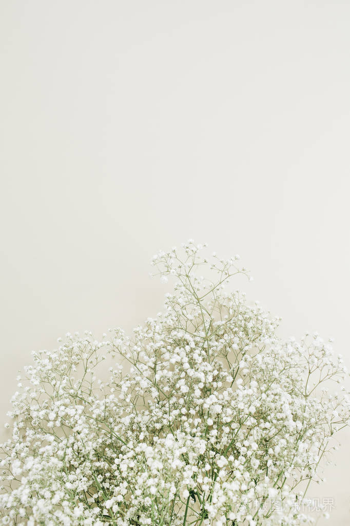 白色满天星花花束在白色背景.最小假日概念