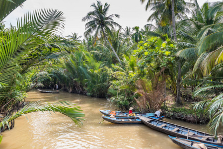 越南湄公河三角洲景观