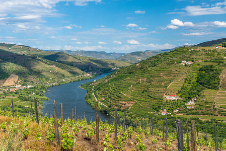 杜罗河河 regionin 葡萄牙葡萄园景观