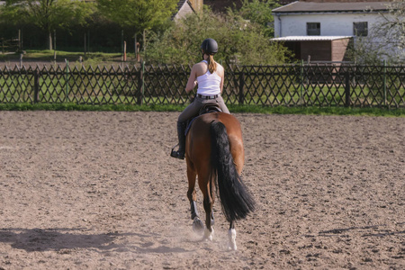 骑在一匹漂亮的棕色马上的年轻女子骑师跳跃
