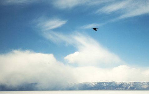 贝加尔湖风景与鸟