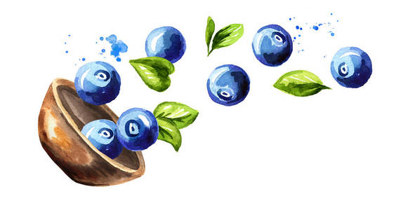 碗与成熟的蓝莓.水彩手绘制水平插图, 在白色背景下隔离照片