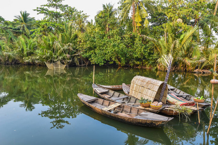 越南湄公河三角洲景观