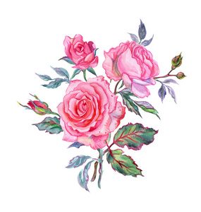 粉红色玫瑰花束, 水彩画白色背景, 孤立